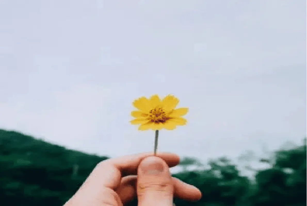 Five must-read posts about fertility