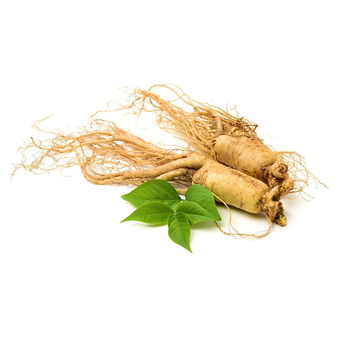 Korean Ginseng Uses – Vitabiotics India