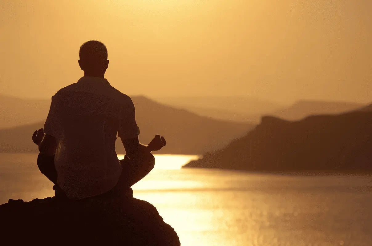 How to Support Your Immune System