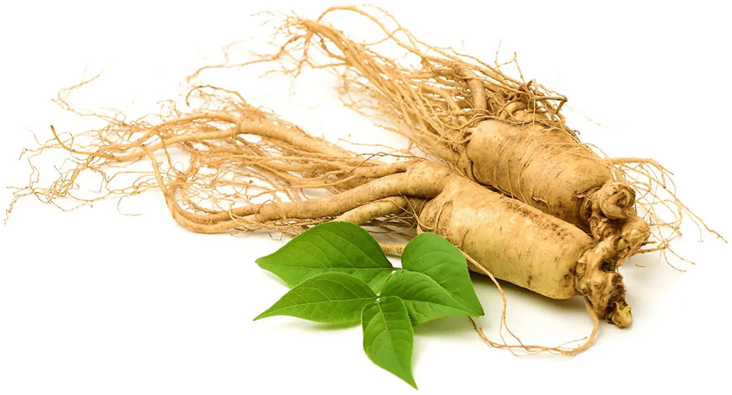 Korean Ginseng Uses