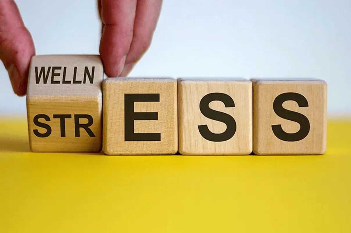 Role of Nutrients in Stress Management