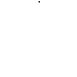 g333